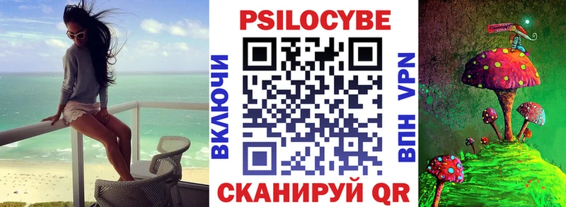 закладки  Борисоглебск  Галлюциногенные грибы Psilocybine cubensis 