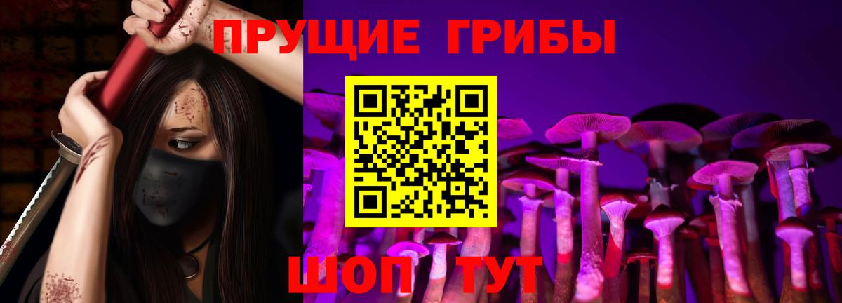 Псилоцибиновые грибы Cubensis  где купить наркоту  Борисоглебск  Вход с VPN 