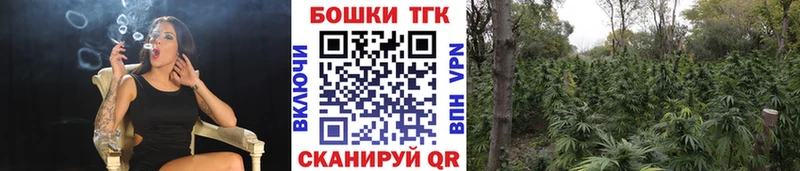 продажа наркотиков KRAKEN рабочий сайт Бошки Шишки планчик Борисоглебск