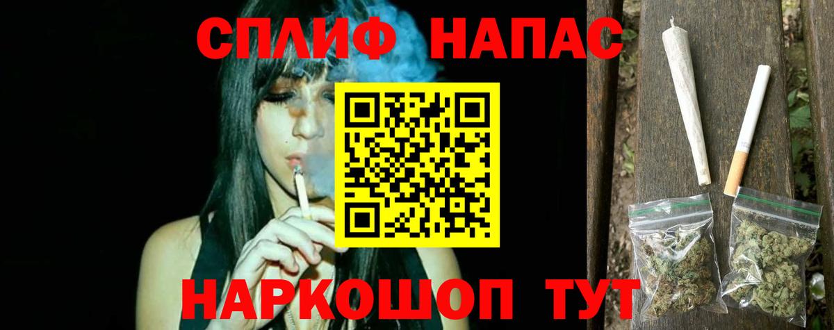 Конопля сатива Борисоглебск